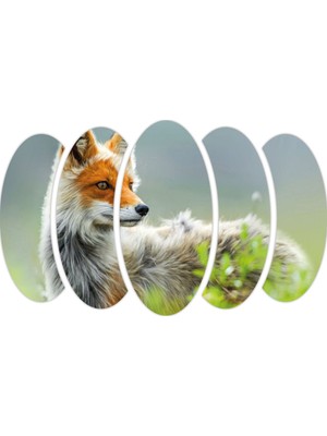 Renkselart Tilki Mdf TABLO-2760