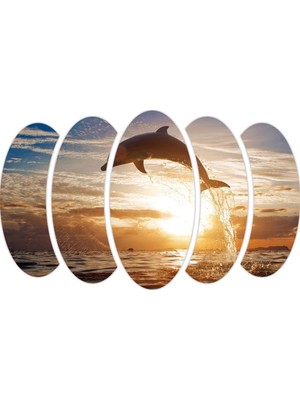 Renkselart Yunus Balığı Mdf Tablo-1839