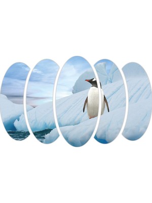 Renkselart Penguen Mdf Tablo-1857