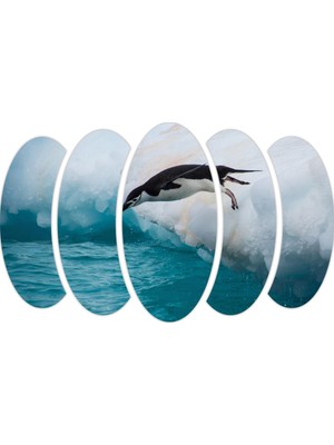 Renkselart Penguen Mdf Tablo-1860