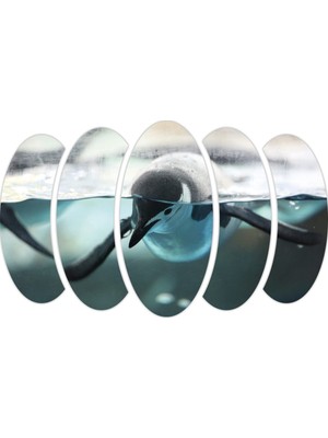 Renkselart Penguen Mdf Tablo-1866