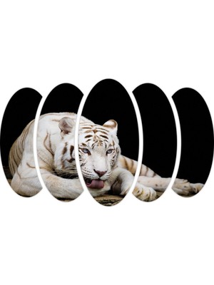 Renkselart Aslan Mdf Tablo 2350