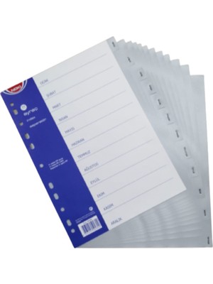 Noki Plastik Seperatör Ocak Aralık Ayraç  Aylar A4 6 Adet 12’li