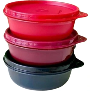 TUPPERWARE 500 ML NAR ÇİÇEĞİ RENK EKO ŞİŞE