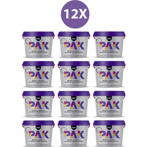Pak Genel Amaçlı Temizleyici 500 gr x 12