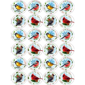 Tellgraf Kuş Sticker