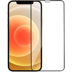 Case World Apple iPhone 12 Tam Kaplayan Temperli Ekran Koruyucu Cam