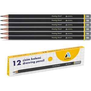 Dereceli Resim Kalemi 5b 12'li