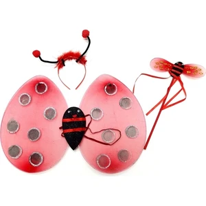 Uğur Böceği Kanat Seti