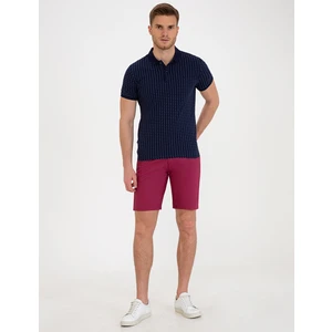 Pierre Cardin Erkek Mürdüm Standart Fit Bermuda Şort 50233249-VR074
