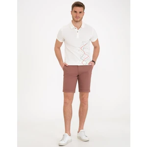 Pierre Cardin Erkek Kiremit Standart Fit Bermuda Şort 50233251-VR031