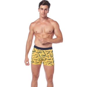 Sarı-Lacivert Compact Yaprak Desenli Boxer