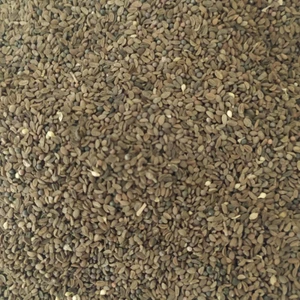 Hüdaverdi Arıcılık Arı Otu Tohumu Faselya 500 GR