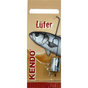 Kendo Özel Lüfer Takımı