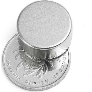 Dünya Magnet 2 Adet Çap 20 mm Kalınlık 10 mm Yuvarlak Süper Güçlü Neodyum Mıknatıs