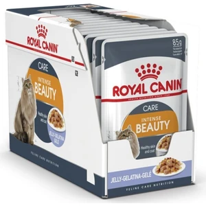 Royal Canin Jelly Intense Beauty Yetişkin Yaş Kedi Maması 85GR x 12 Adet