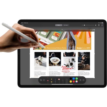 Apple iPad Pro 2.Nesil Wi-Fi Cellular 128GB 11 Tablet - Fiyatı