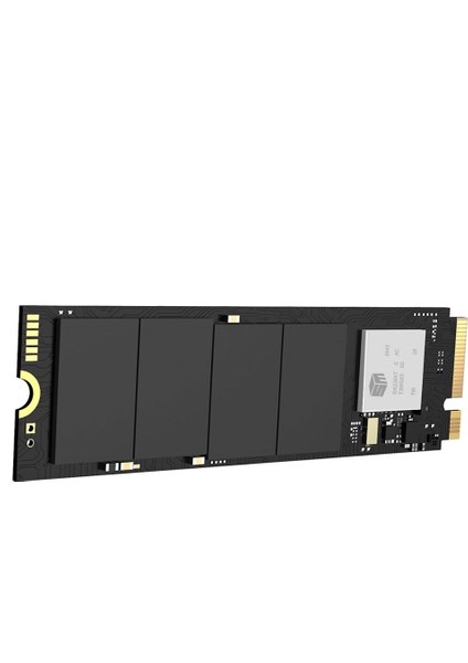 E1000 512GB 1000MB-2000MB/S M.2 2280 SSD 400208 fiyatları