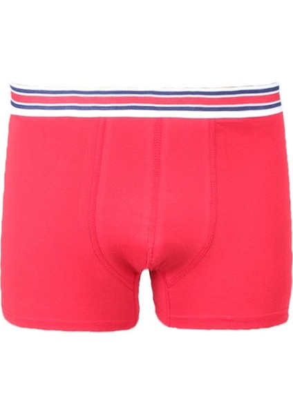 Alexandergardı 3'lü Ekonomik Boxer Seti (M0801)