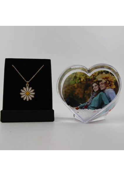 Kar Küresi Kalpli % Papatya Kolye Altın Kaplama Özel Kutulu Set Hediye