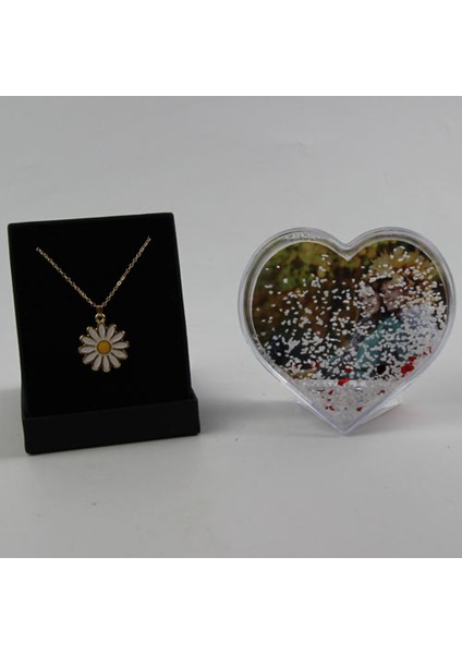 Kar Küresi Kalpli % Papatya Kolye Altın Kaplama Özel Kutulu Set Hediye fiyatları