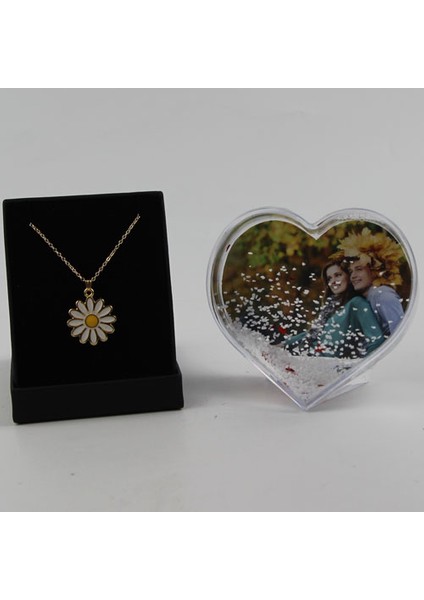 Kar Küresi Kalpli % Papatya Kolye Altın Kaplama Özel Kutulu Set Hediye modelleri