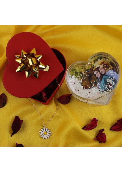 Kar Küresi Kalpli & Papatya Kolye Altın Kaplama Özel Kalp Kutulu Set Hediye fiyatları