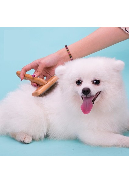 Bambu Kedi-Köpek Tüy Alıcı Tarağı Large indirimleri
