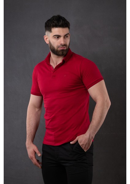 Polo Yaka Slimfit Erkek T-Shirt