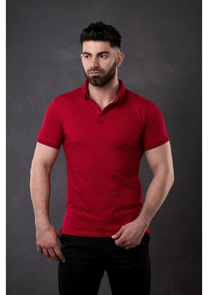 Polo Yaka Slimfit Erkek T-Shirt modelleri