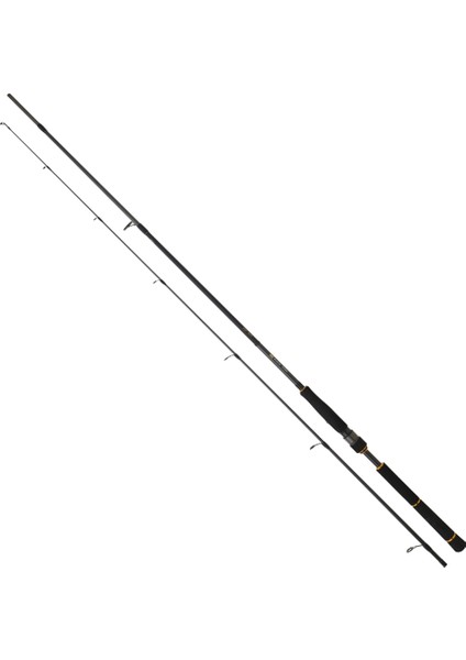 New Bg Seabass 2.44M 7-28GR 2p Spin Olta Kamışı