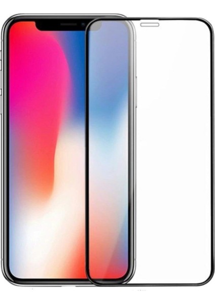 Apple iPhone x Tam Kaplayan Temperli Ekran Koruyucu Cam