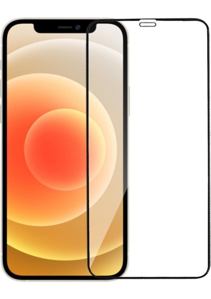 Apple iPhone 12 Tam Kaplayan Temperli Ekran Koruyucu Cam