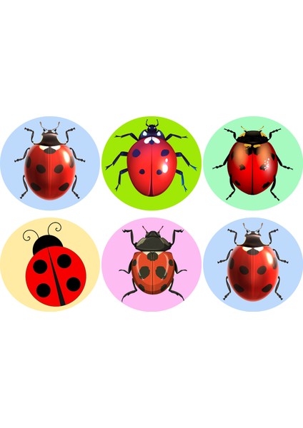 Uğur Böceği Sticker