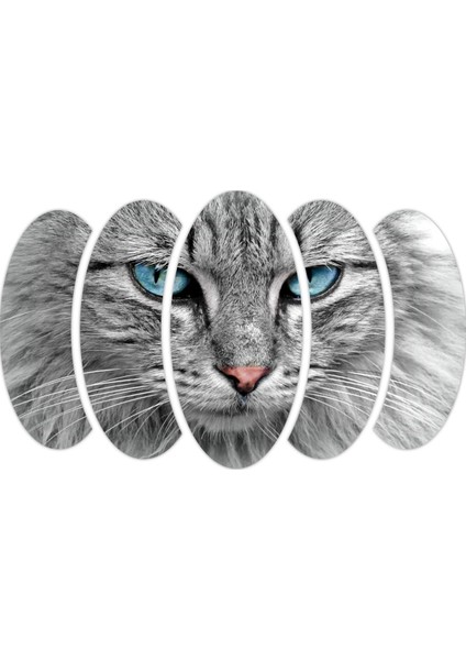 Kedi Mdf TABLO-2575