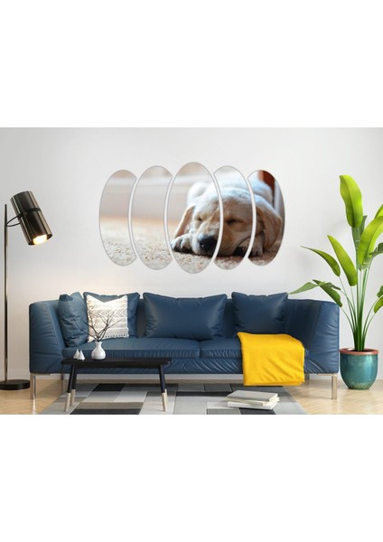 Köpek Mdf TABLO-2647
