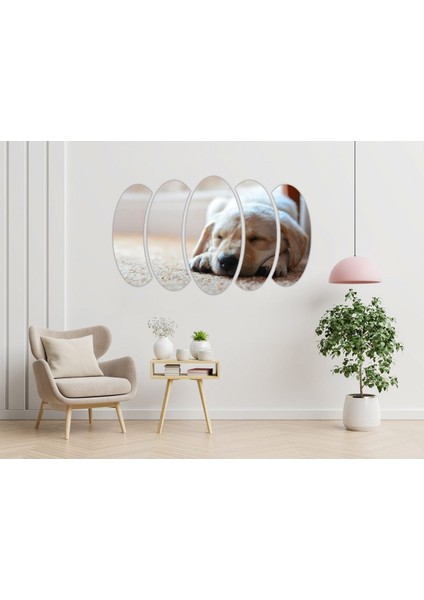 Köpek Mdf TABLO-2647