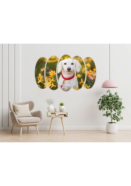 Köpek Mdf TABLO-2643