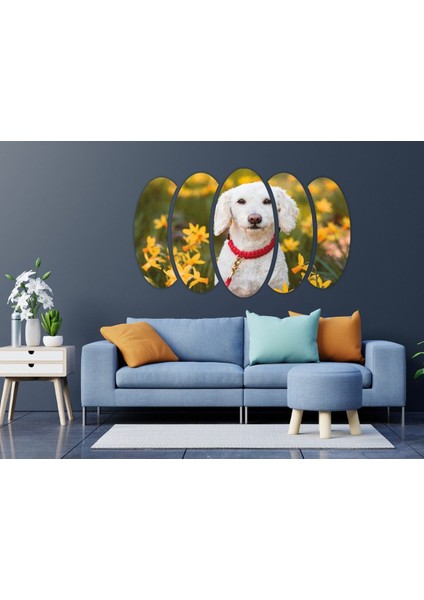 Köpek Mdf TABLO-2643