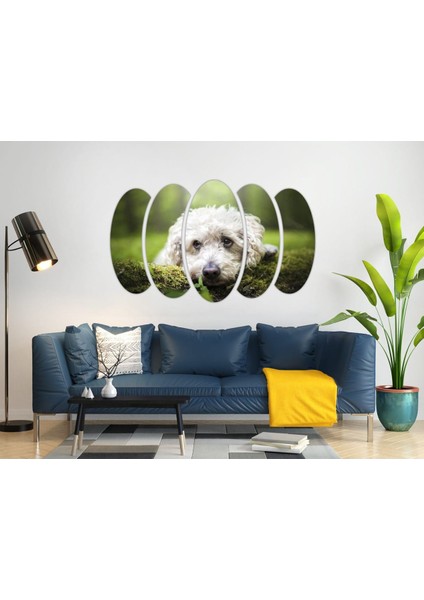 Köpek Mdf TABLO-2654