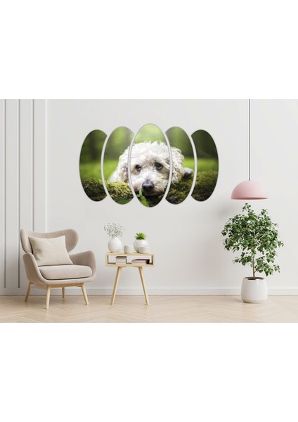 Köpek Mdf TABLO-2654