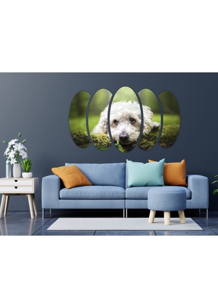 Köpek Mdf TABLO-2654