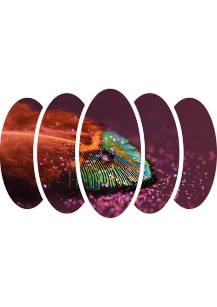 Renkler Tüy Su Damlası Mdf TABLO-2988