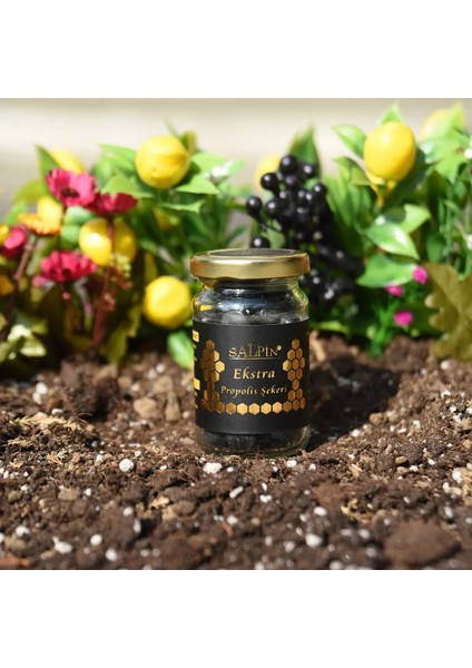 Propolis Şekeri Ekstra 60 gr