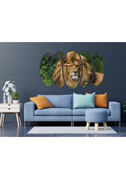 Aslan Mdf Tablo 2356