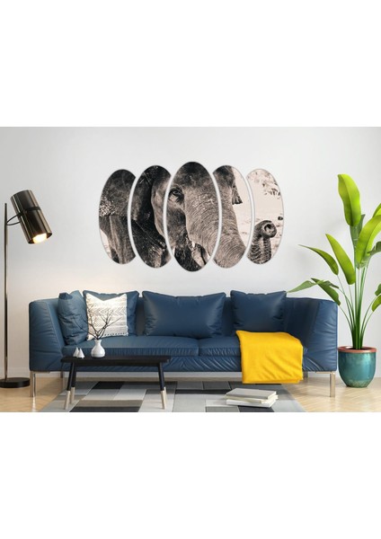 Fil Mdf Tablo 2434