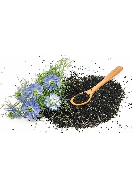 Çörek Otu Tohumu 50'li Akgen Seeds fiyatları