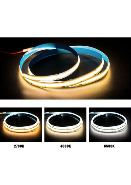 Arge LED Samsung 24V 3000K (Gün Işığı) Şerit LED