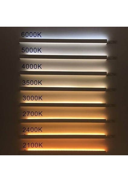 Arge LED Samsung 24V 6500K (Soğuk Beyaz) Şerit LED