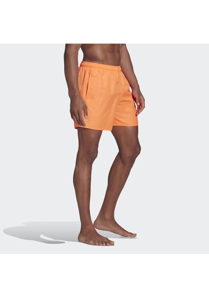 Solid Swim Erkek Şort Mayo GQ1085 modelleri